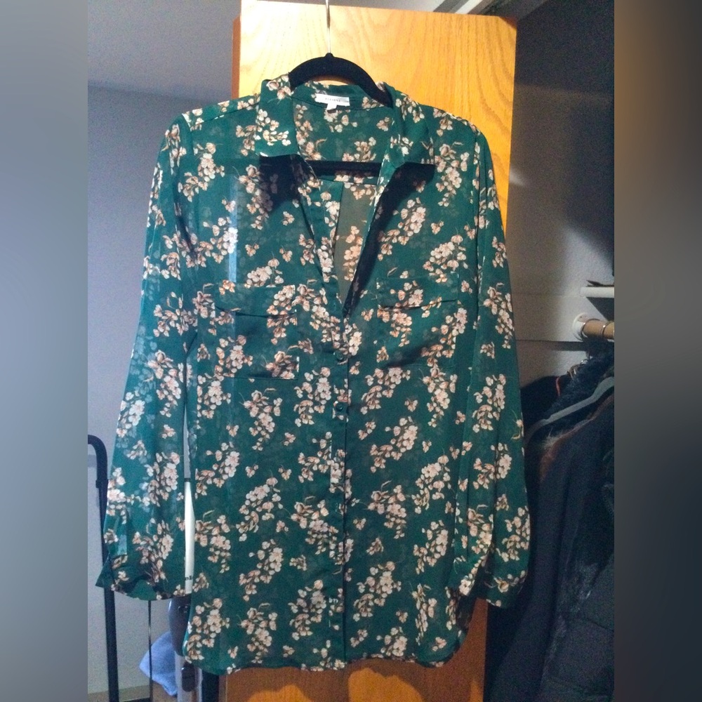 Pleione sheer button up blouse